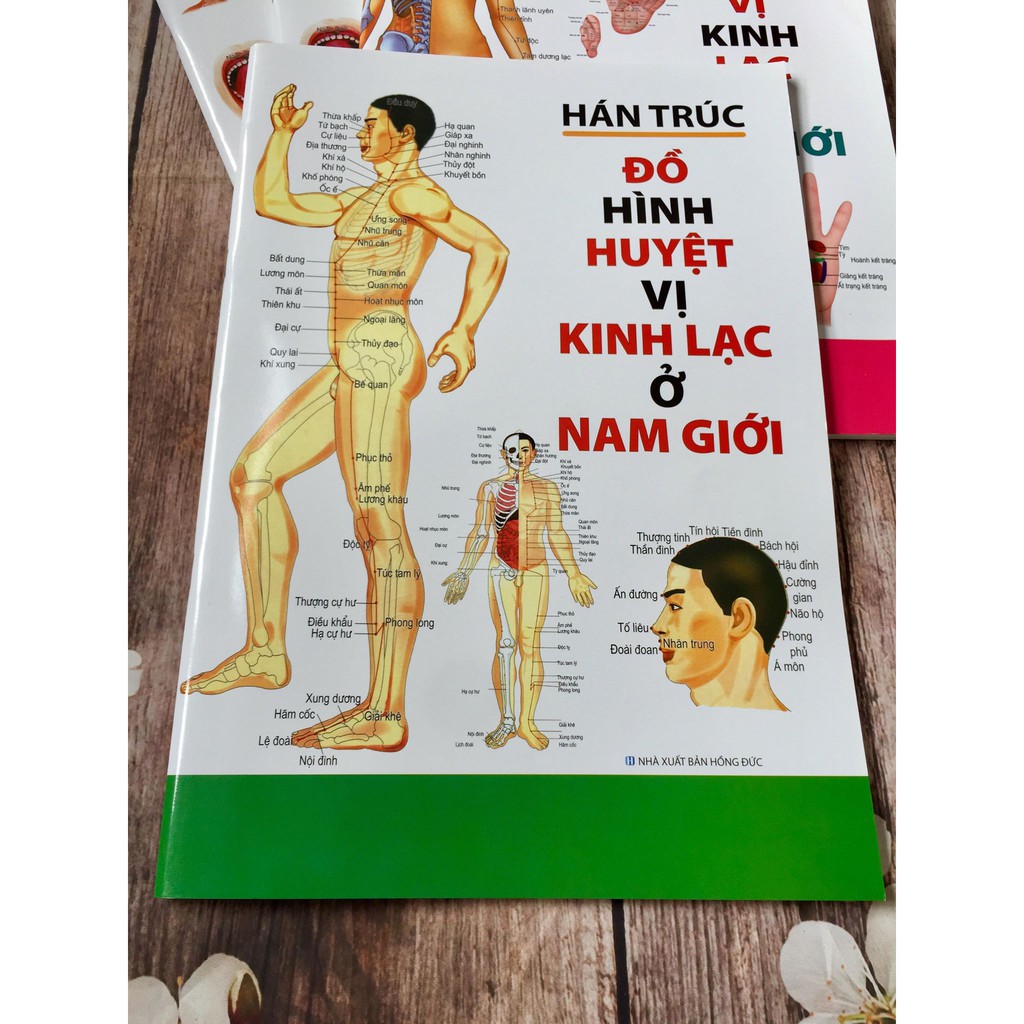 Sách Đồ Hình Huyệt Vị Kinh Lạc Ở Nam Giới Hán Trúc Tái Bản Năm 2019
