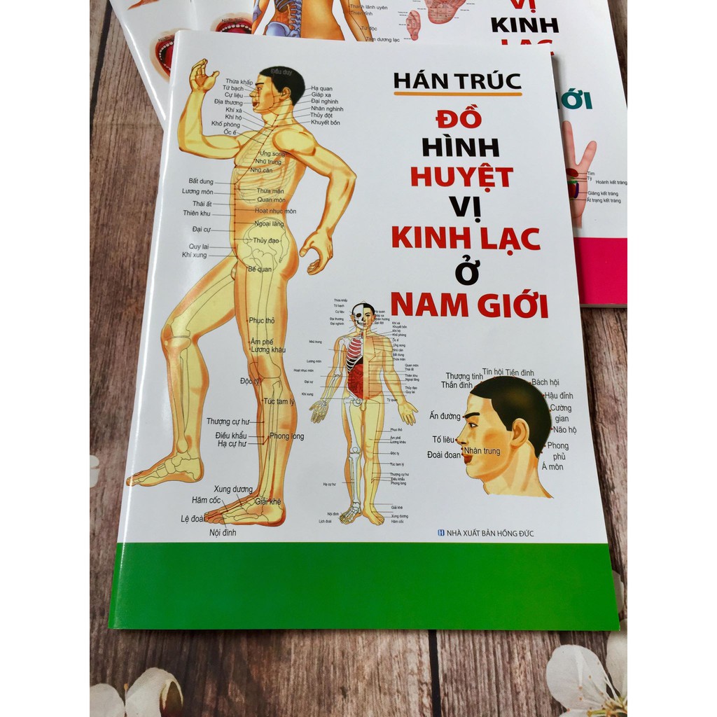 [Mã LIFEMALL99154 giảm 15% đơn 99000] Sách - Đồ Hình Huyệt Vị Kinh Lạc Ở Nam Giới - Hán Trúc - Tái Bản Năm 2019