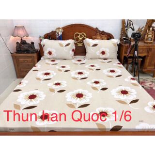 ga chống thấm cotton Su Su