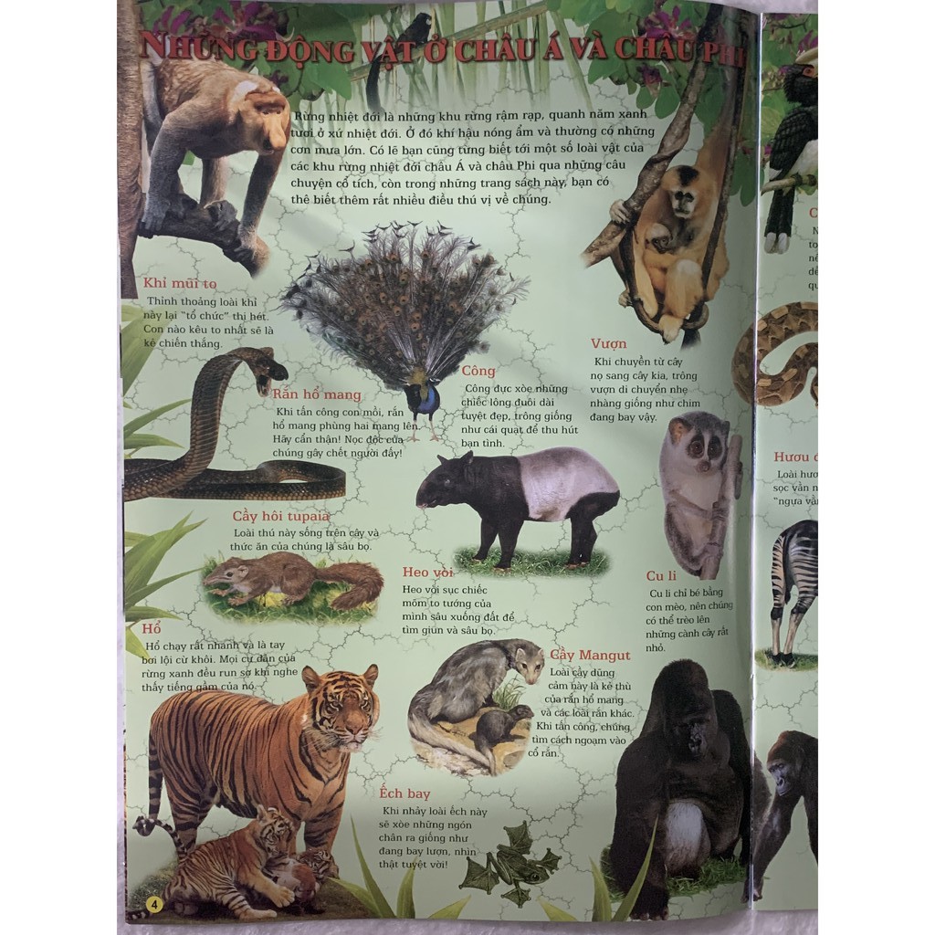 Sách - Quyển Tranh - Thế Giới Động Vật