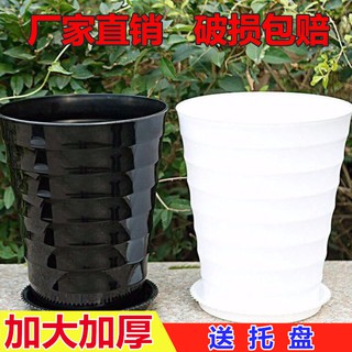 Chậu Hoa Bằng Nhựa Resin Dày Dặn Màu Trắng Đen Cỡ Lớn