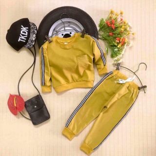 Combo tay dài bộ
