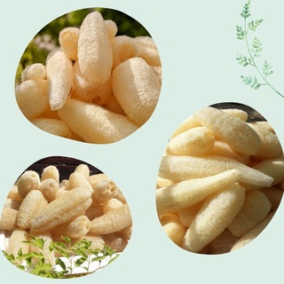 Bông Tắm Tẩy Tế Bào Chết, Xơ Mướp Rửa Chén, Sơ Mướp, Hữu Cơ Xuất Khẩu, Miếng Rửa Chén