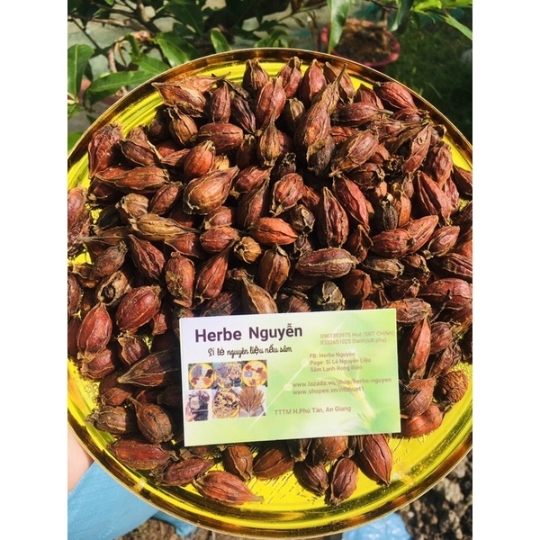 trái dành dành khô 100g