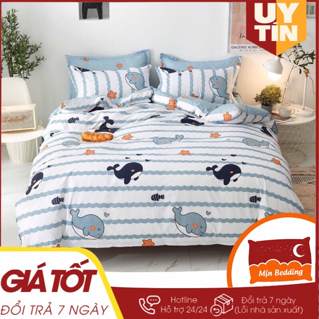 Bộ Chăn Ga Gối, Ga Giường Cotton Poly Set 5 Món, 4 Món M2, M6, M8, 2M2 Thu Đông, Bo Chun Miễn Phí