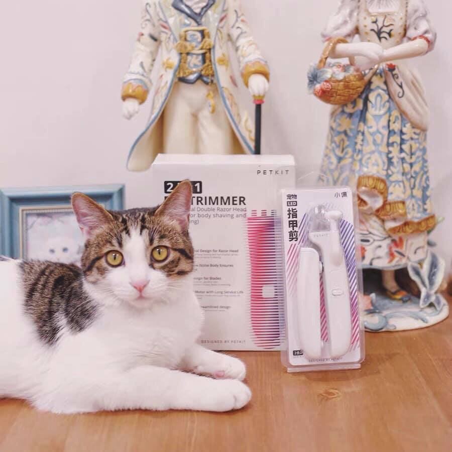 Tông Đơ PETKIT Máy Cạo Lông Chó Mèo Rất Êm Không Bị Phạm Da Không Bị Ê Tay - Có Ảnh Thật