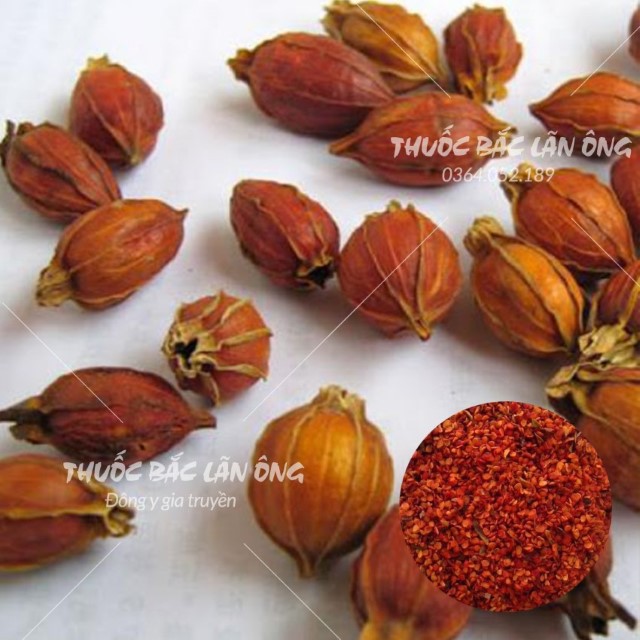 Hạt Dành Dành Tạo Màu 1kg (Chi Tử)