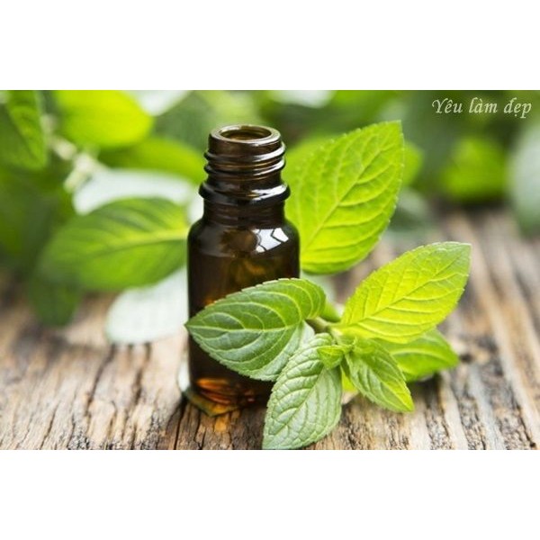 Tinh Dầu Bạc Hà Nguyên Chất (Peppermint), Tinh Dầu Thơm Thiên Nhiên, Nguyên Liệu mỹ Phẩm, 10ml - 100ml