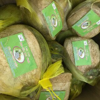 Dừa sáp đặc sản trà vinh