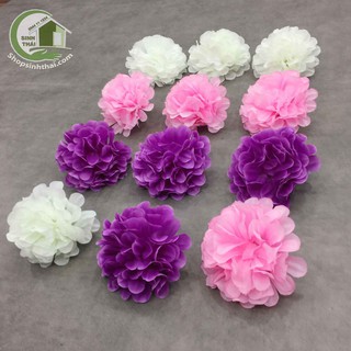 Hoa cẩm tú cầu màu hồng, trắng, tím