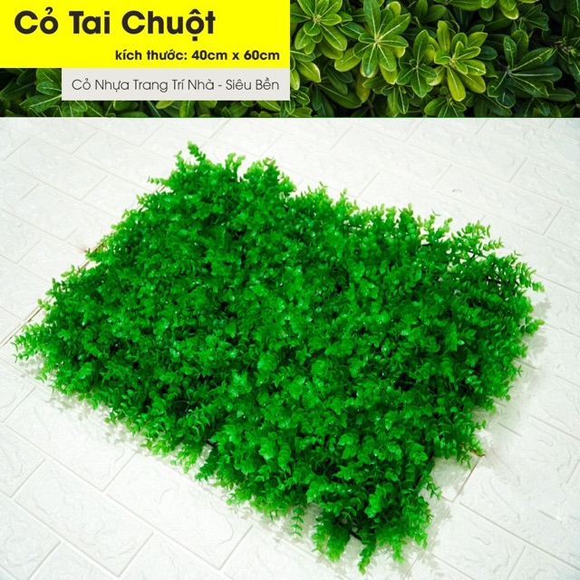 (hàng loại 1)Cỏ tai chuột trang trí 40x60cm