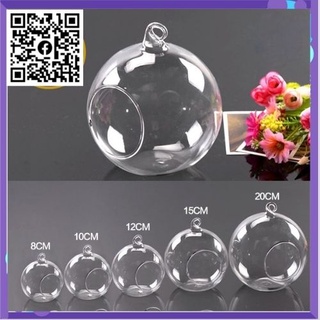 Bình thủy tinh tròn 8cm trồng tiểu cảnh, cây thủy sinh, bình thủy tinh nuôi cá đẹp, làm Terrarium