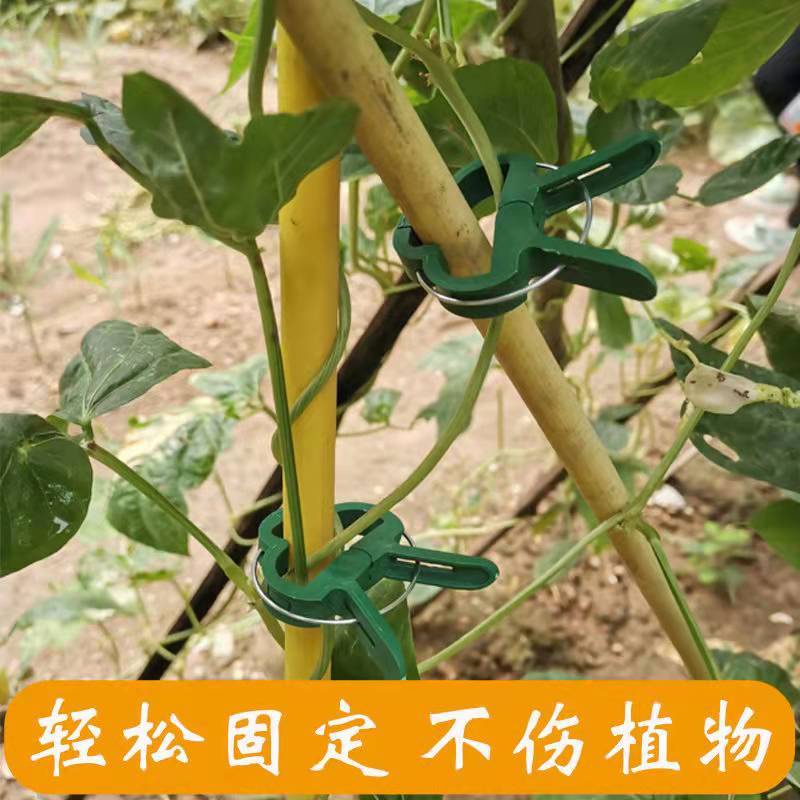 Kẹp Hỗ Trợ Cành Cây Leo Tiện Dụng Cho Sân Vườn