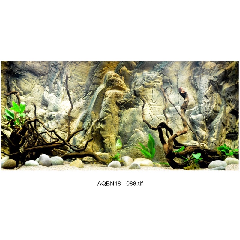 Tranh 3D dán hồ cá - bể thủy sinh siêu đẹp và nét, có keo sẵn trên bề mặt, đa dạng kích thước