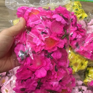 Hoa đào mai túi 50 bông