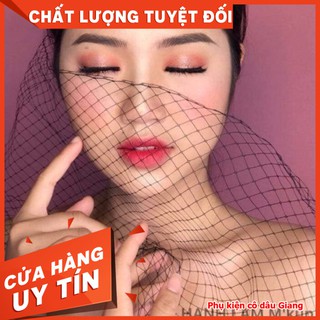 Miếng lưới che mặt - mạng che mặt lưới