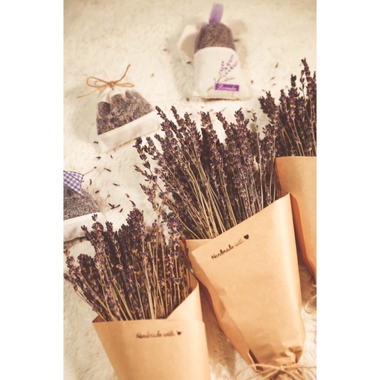 Hộp hoa Lavender Pháp