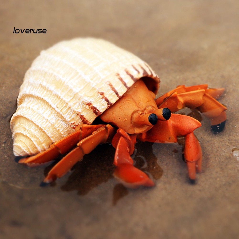 LOVE_Simulation Hermit Crab Marine Animal PVC Model Desktop Decor Education Kids Toy
