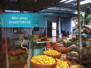 (1kg) Tinh bột nghệ vàng