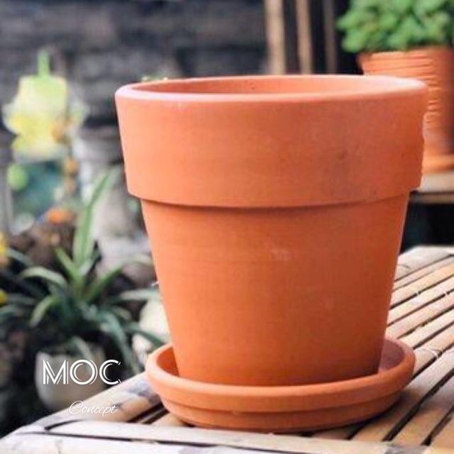 Chậu Đất Nung Ly Gờ 15cm