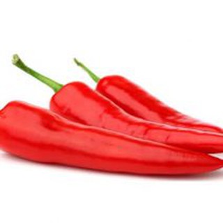 Hạt giống Ớt sừng đỏ