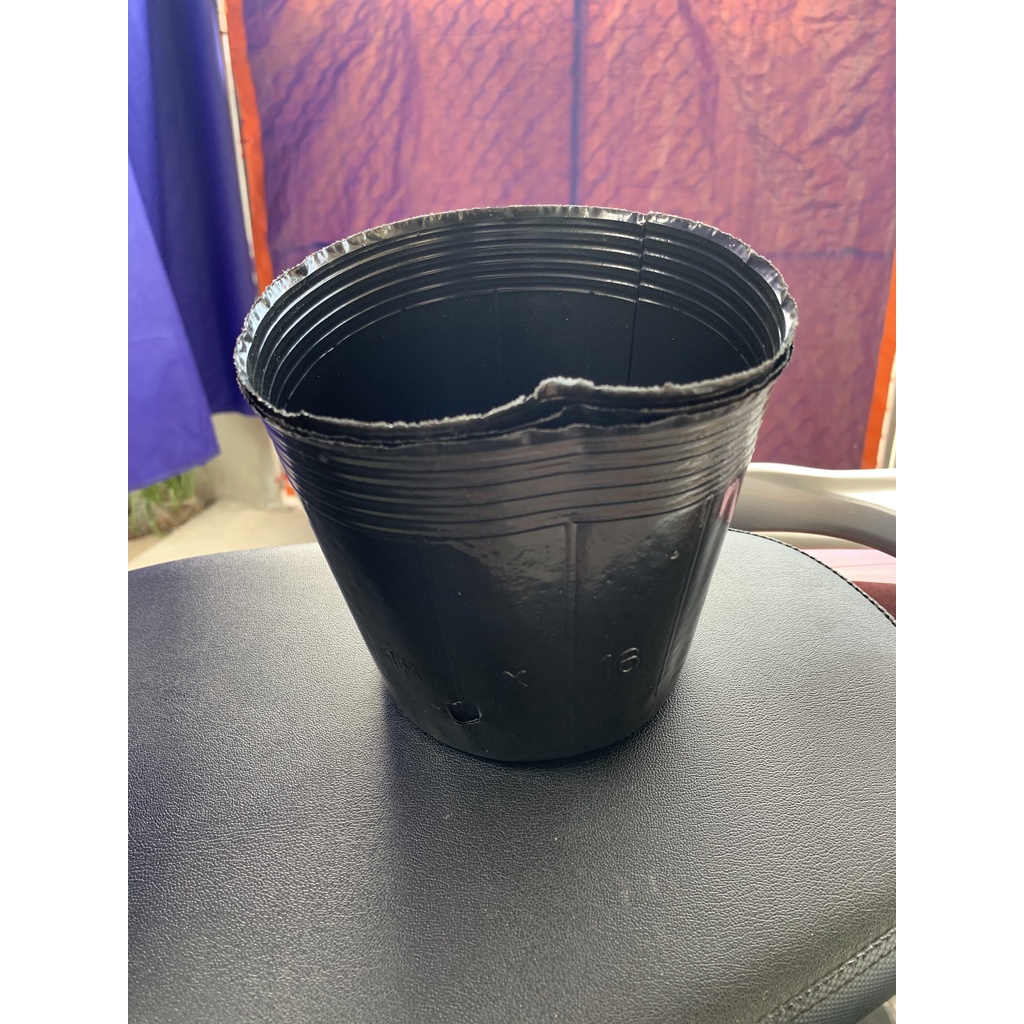 BẦU ƯƠM CÂY 18*16 ( DỊCH TRUYỀN CHO CÂY, KÍCH RỄ , MẦM CÂY XANH LÁ, LƯỚI CHE NẮNG...)