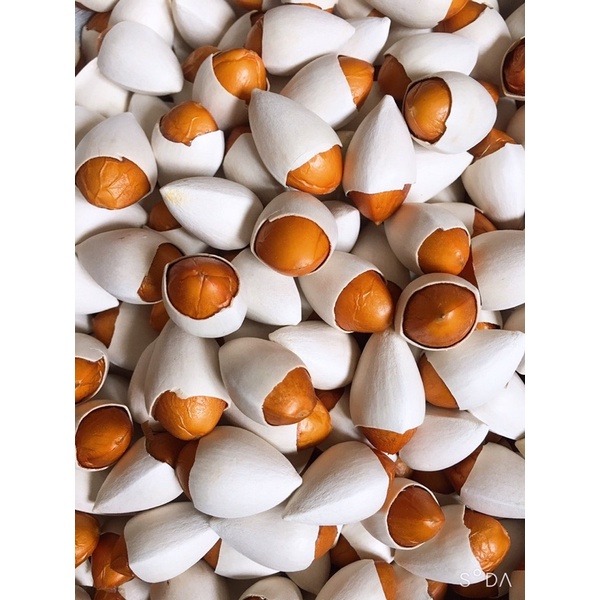 Combo 2kg Bạch Quả tươi Nhật, hàng tuyển chọn nhà hàng