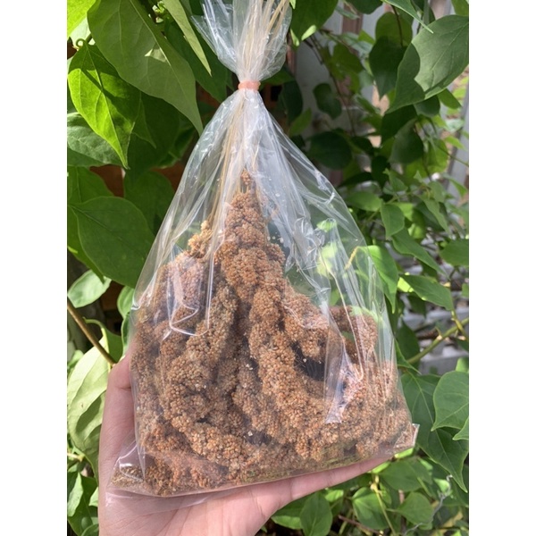 KÊ CHÙM CHO HAMSTER, CHIM, SÓC