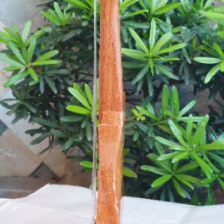 ĐÀN GHITA ĐIỆN - MÔ HÌNH GỖ
