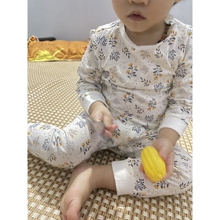 Bộ moimoln hoa vàng cotton giấy