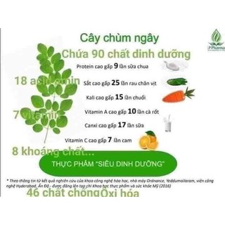 Bột chùm ngây