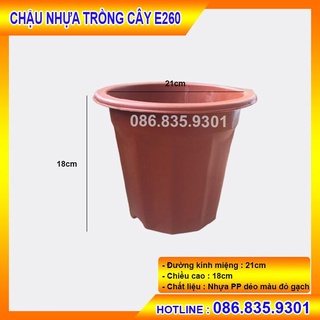 Combo 5 cái chậu nhựa trồng vây e260, phù hợp trồng hoặc ươm các loại cây cảnh