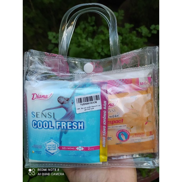 Băng vệ sinh Diana, set băng vệ sinh tặng kèm túi dex thương