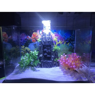 combo hồ cá dài 40cm rộng 24cm cao 25cm hồ đúc hồ thuỷ sinh.hồ cá cảnh,bể kính nuôi cá