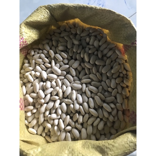 Đậu trắng Tây bịch 500gr/ 1kg tuỳ chọn