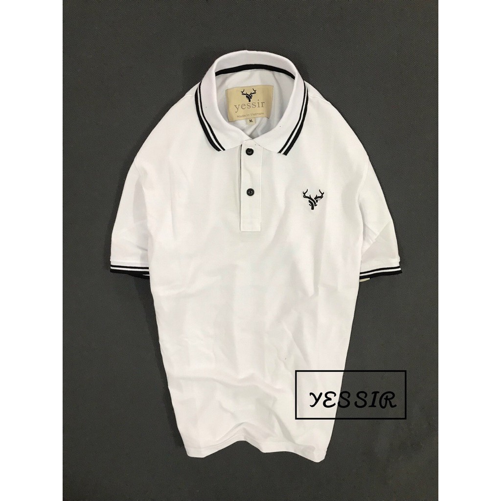 ÁO THUN NAM POLO BIG SIZE VẢI COTTON XUẤT XỊN CÁ SẤU SIÊU MÁT | BigBuy360 - bigbuy360.vn