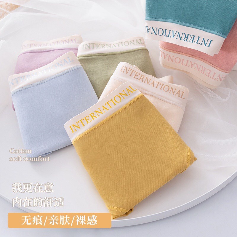 Quần Lót Nữ Cotton Cạp Su Chữ Kháng Khuẩn Cao Cấp 8858