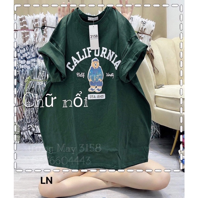 Áo phông gấu Califor DA6