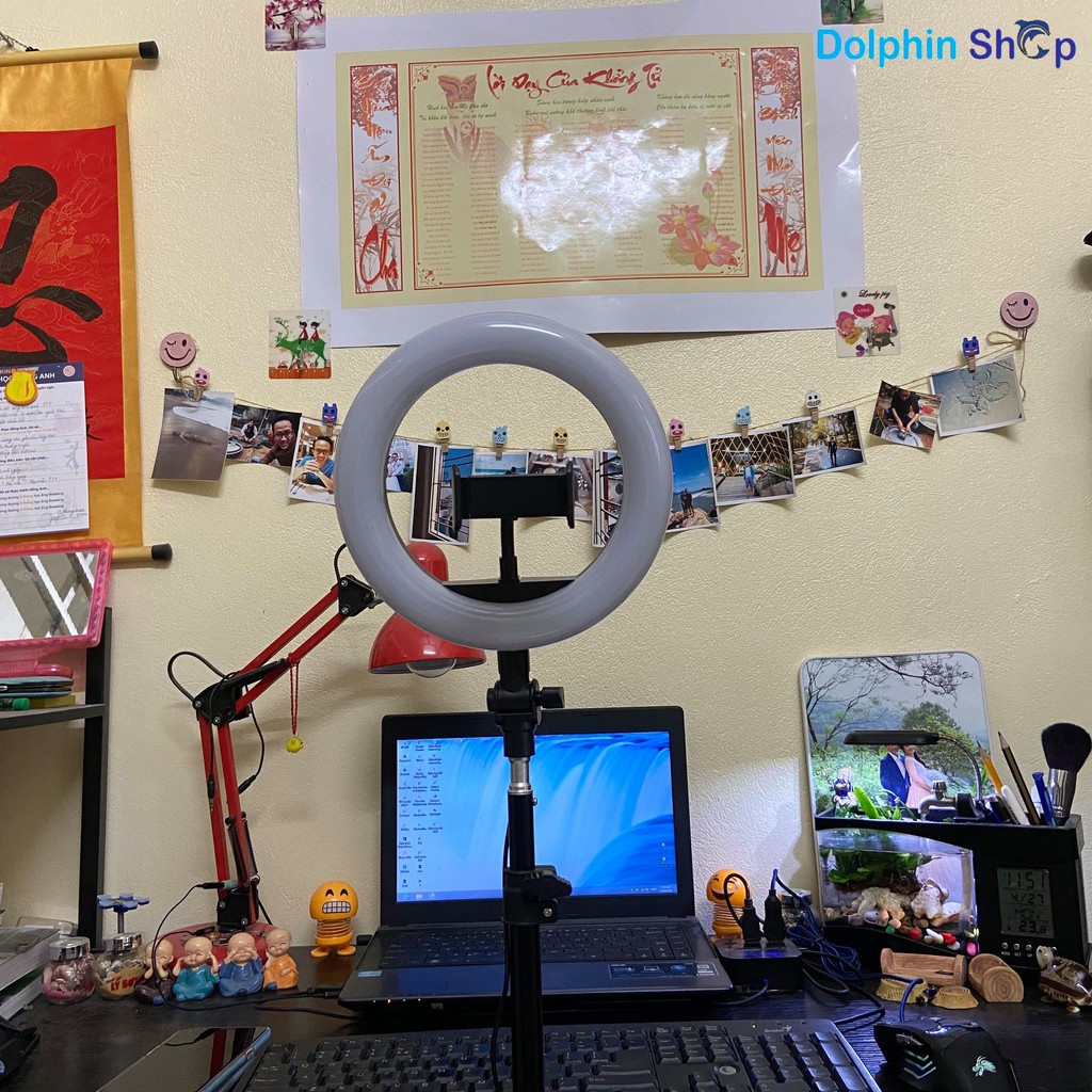 [Có Clip Size 20cm] Đèn Livestream Size 20cm Dành Cho Bán Hàng Online, Quần Áo, Makeup - Cây  live stream size 20 | BigBuy360 - bigbuy360.vn