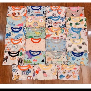 Combo bộ cotton tre