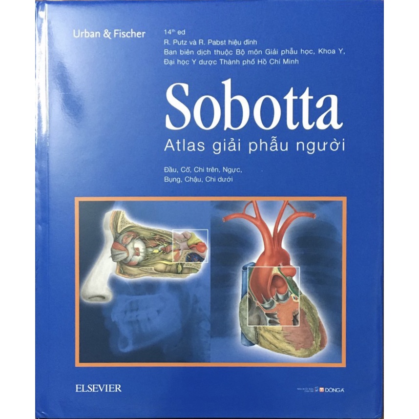 Sách - Sobotta Atlas Giải Phẫu Người