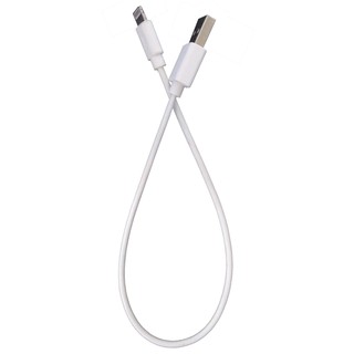 (30cm) Dây cáp sạc cho Iphone dài 30cm Bagi – IB30