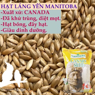 HẠT LÁNG YẾN MANITOBA xuất xứ: Ý