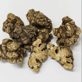 Sỉ như lẻ xuyên khung 500g - 1kg