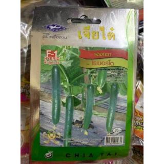 DƯA CHUỘT NHẬT ROBERTO F1