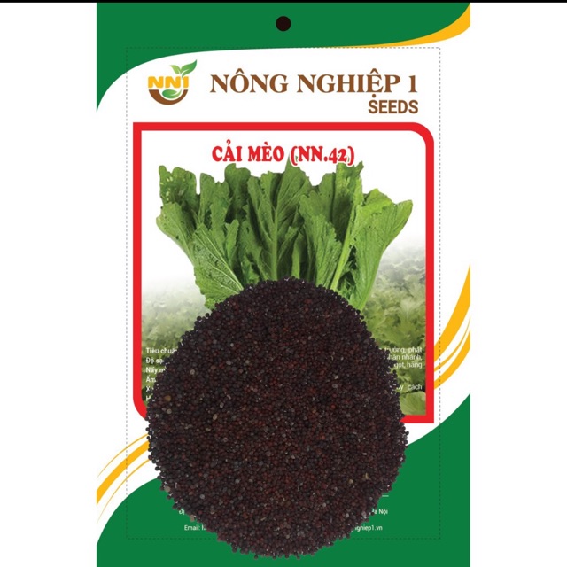 Hạt giống cải mèo- gói 20 gr