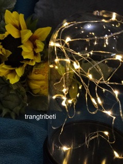 ĐÈN LỒNG FAIRYBELL