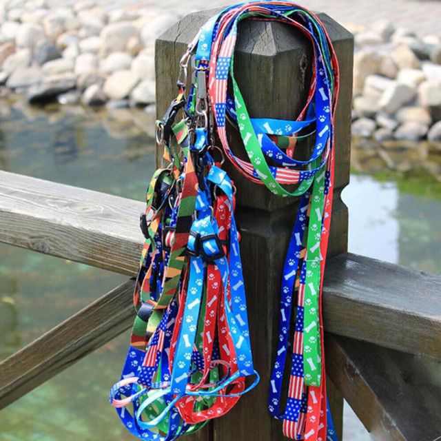 Dây Dắt Cho Chó Mèo - Dây Dắt Giá Rẻ Cho Chó Mèo Kích Thước Nhỏ,LupetVN