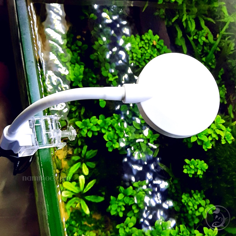 Đèn LED Mini Clip Lamp JY-25 || Led Kẹp Dùng Cho Bể Cá Mini 25cm, Chậu Cá Tròn Để Bàn