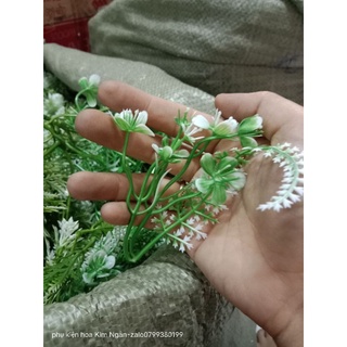 1kg cỏ điểm trộn mẫu
